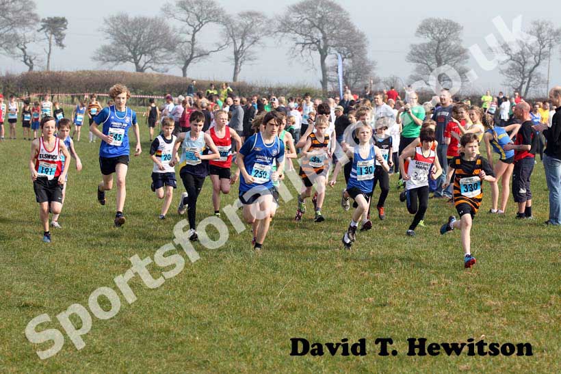 Blue  Start North East Harrier League, Prudhoe, Northumberland.